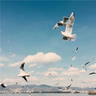 温州热线房产网